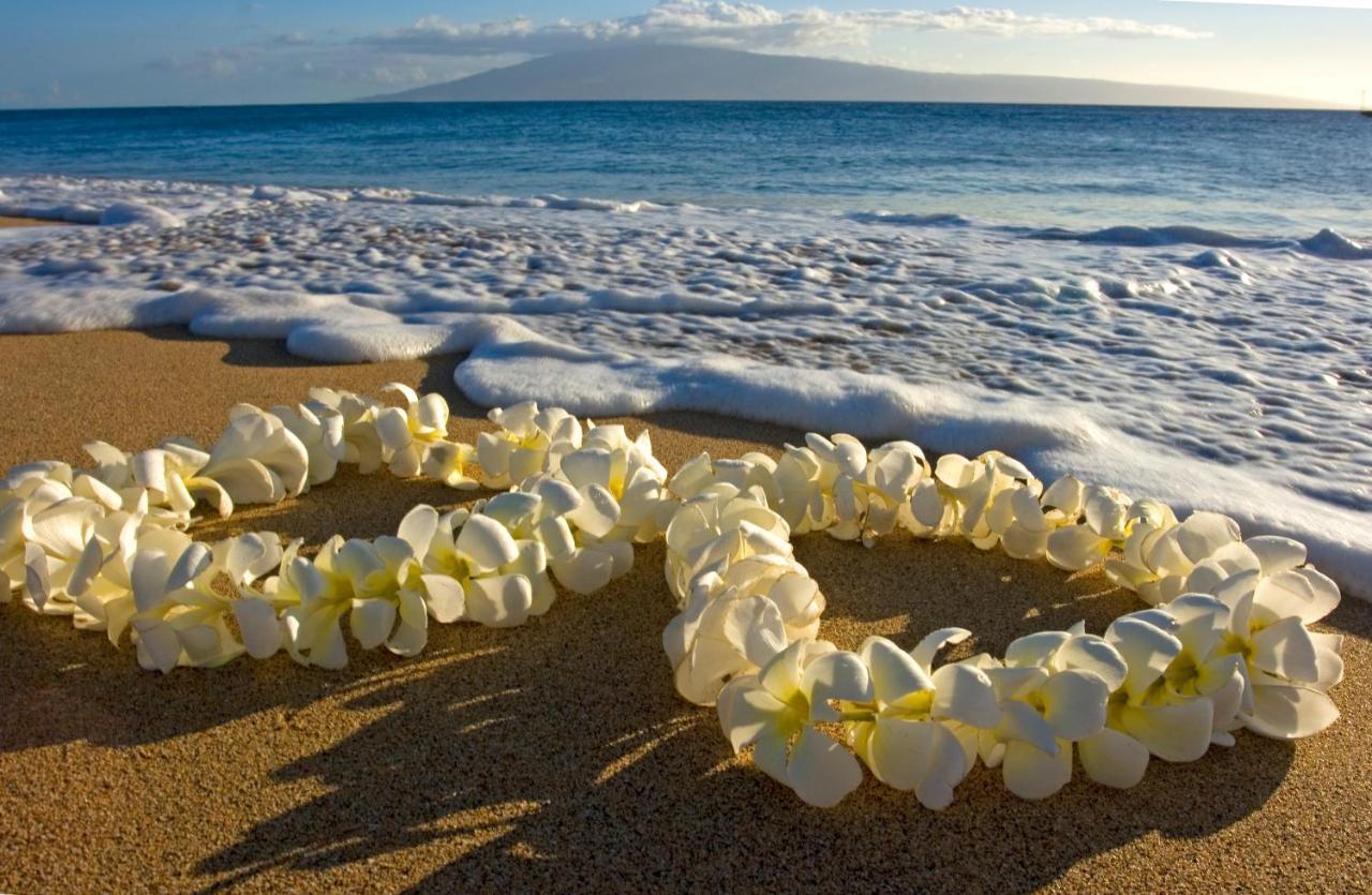 דירות הונולולו Beautifully Upgraded Studio Close To Waikiki Beach מראה חיצוני תמונה